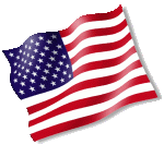 American Flag 11